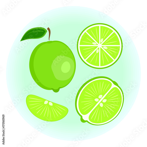 Flat vector exotic ripe green lime set - fruit split in a half along and across, lime wedge. Cute colorful tropical summer fruit