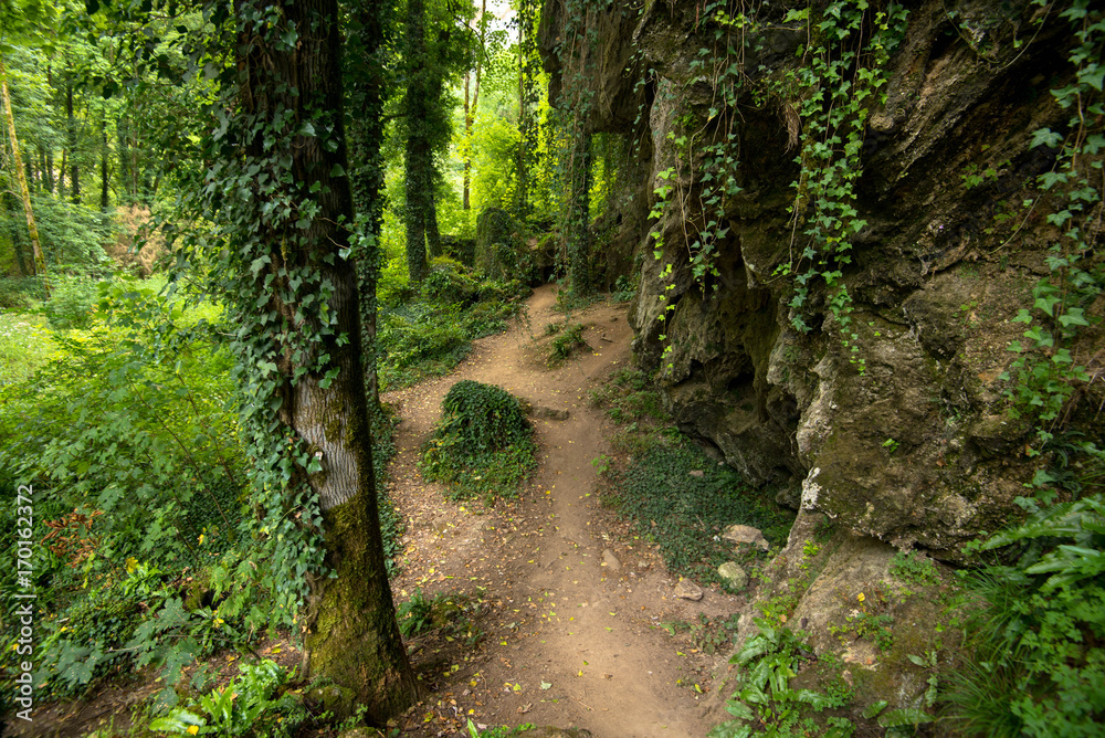 Obraz premium Waldweg in Baumes-les-Messieurs