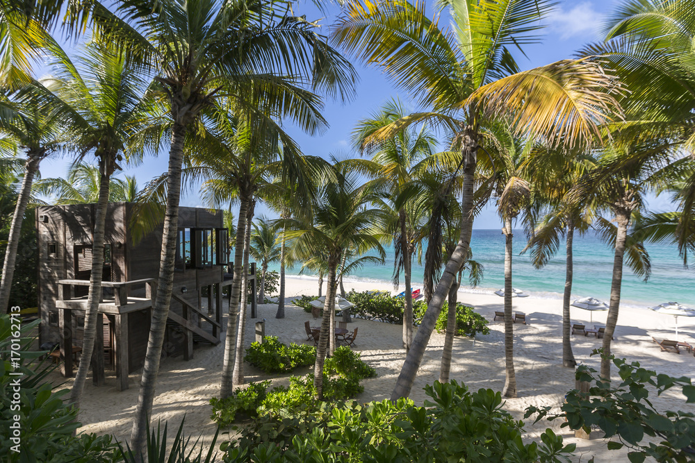 Detail from Caribbean Home