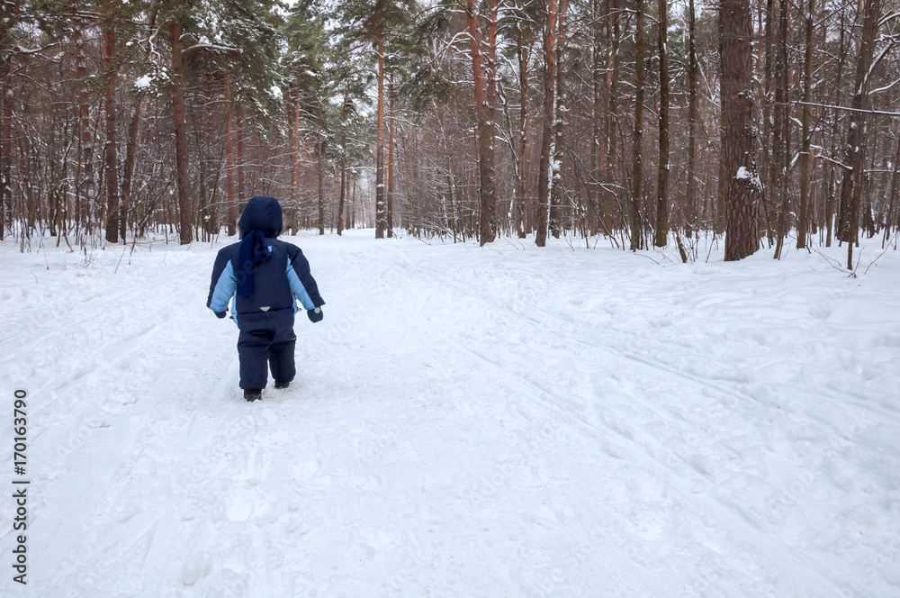 A little boy walks alone in the winter forest