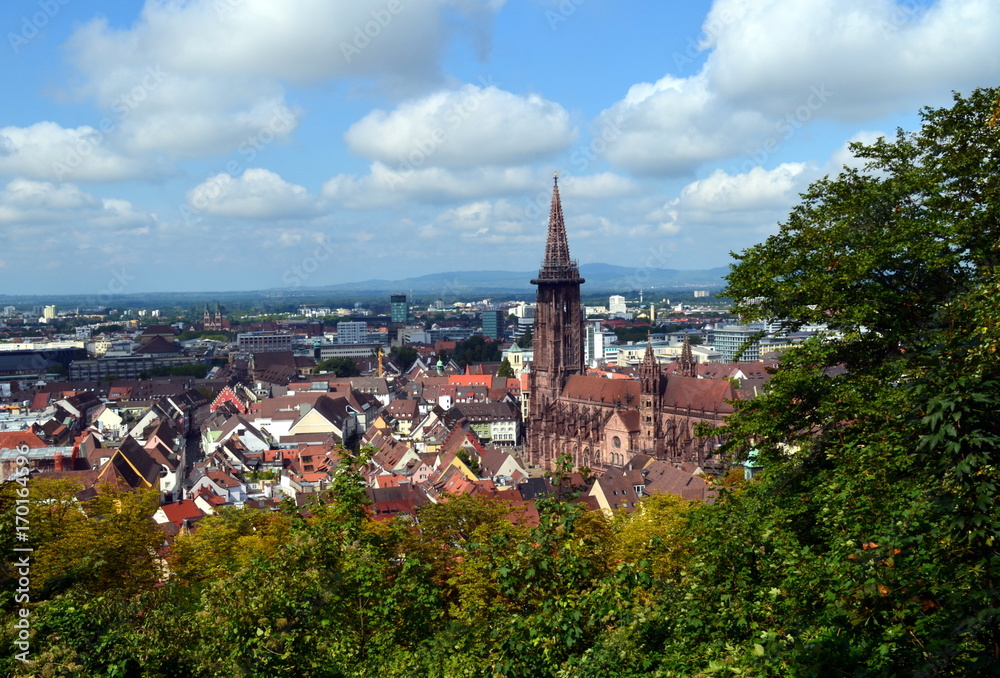 Blick auf Freiburg im Spätsommer