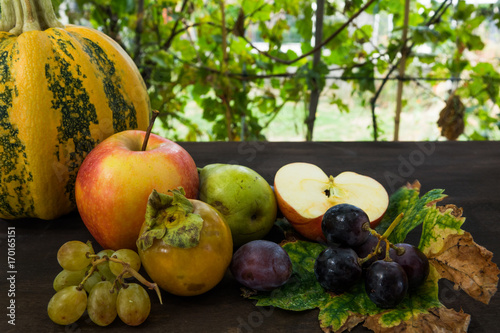 fresh and beautiful fruits and vegetables with autumn pumpkin pumpkins still life