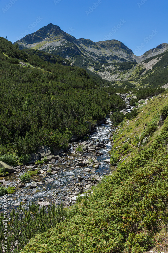 Obraz premium Amazing landscape with Valyavitsa river, Pirin Mountain, Bulgaria