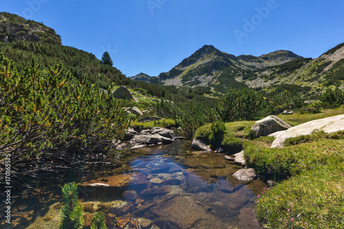 Amazing landscape with Valyavitsa river and Valyavishki chukar peak, Pirin Mountain, Bulgaria photo