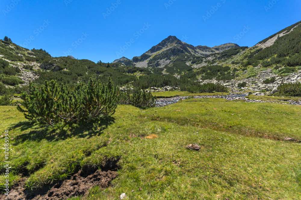 Fototapeta premium Amazing landscape with Valyavitsa river and Valyavishki chukar peak, Pirin Mountain, Bulgaria