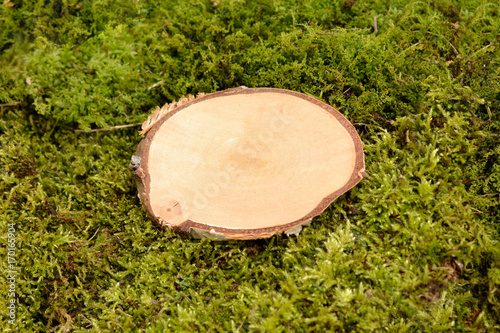 Holz auf Moss freiraum