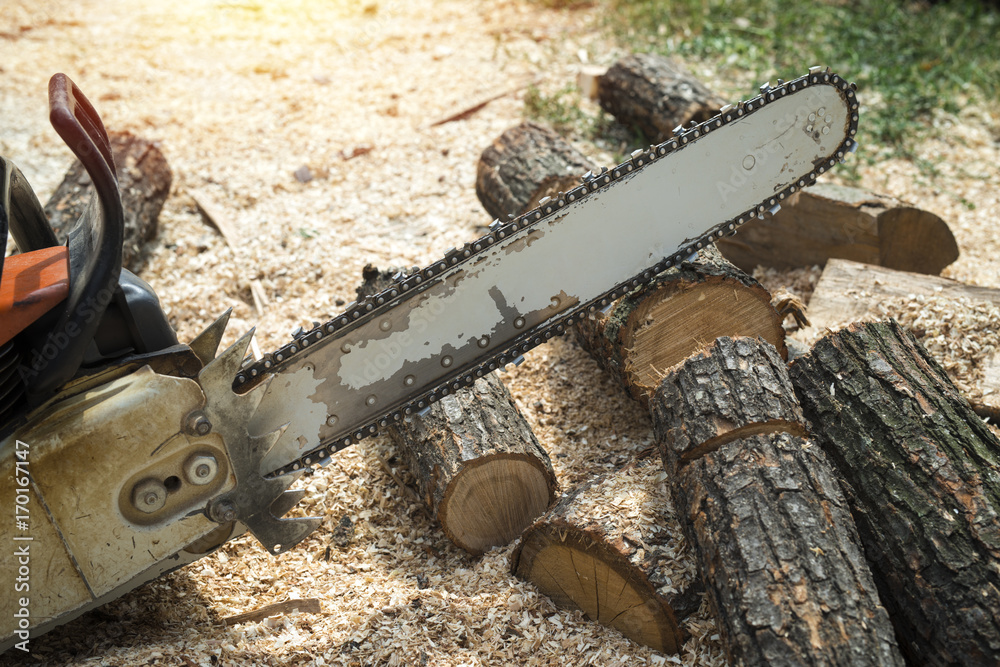 Chainsaw and firewood. Cutting activities. Sawdust. Chainsaw and firewood. Cutting activities. Sawdust.