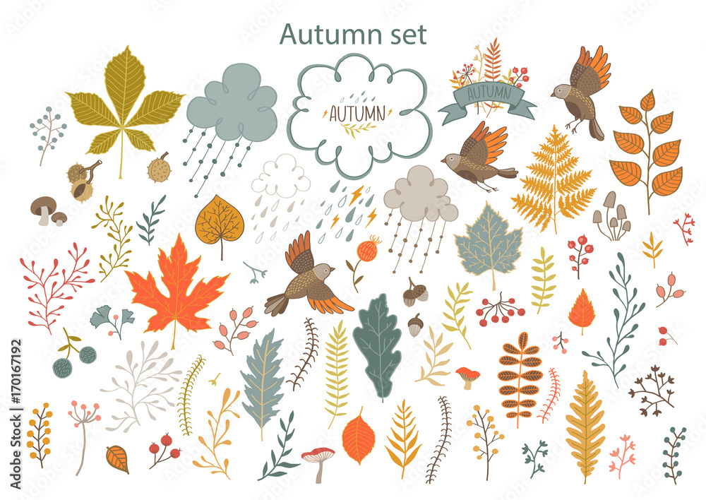 Set of hand-painted autumn elements Set of hand-painted autumn elements