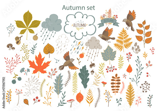 Set of hand-painted autumn elements