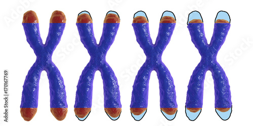 Photography Telomere shortening, conceptual 3D illustration