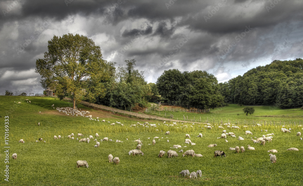 Before thunderstorm in Lazio