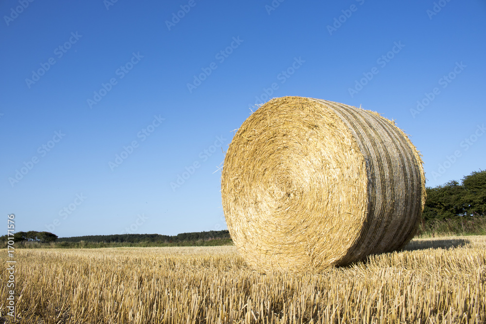 Bale of Hay in field in front of Blue Sky Bale of Hay in field in front of Blue Sky