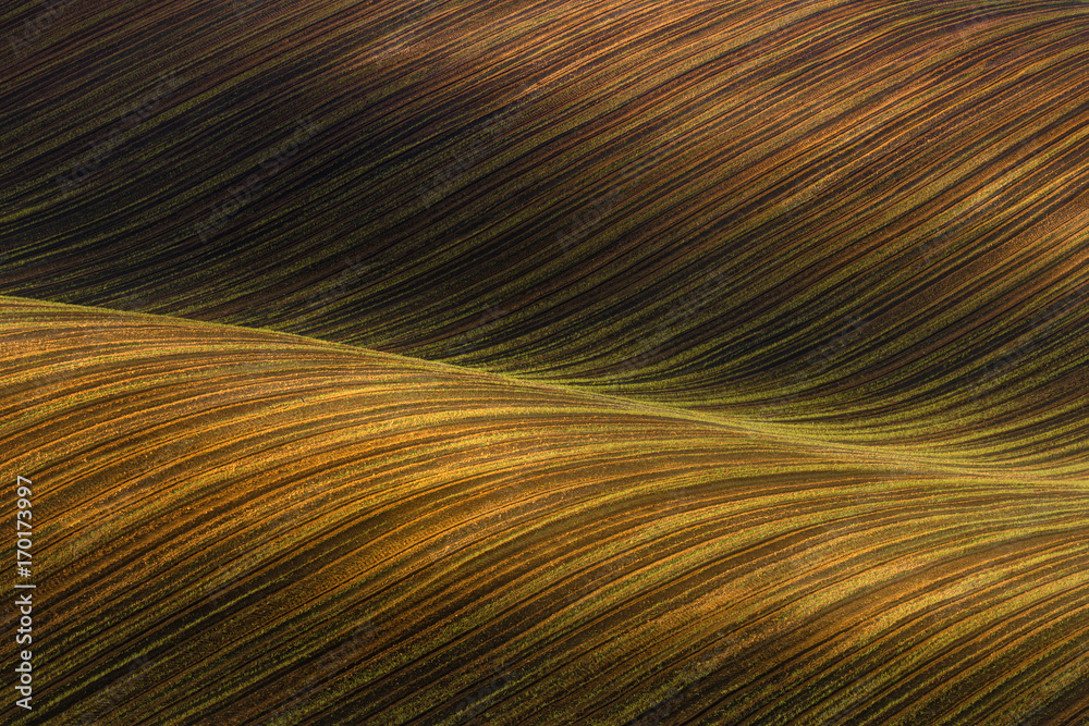 Waved Cultivated field with beautiful light-shadows (chiaroscuro). Rustic autumn landscape in brown tones. Striped undulating abstract landscape with a plowed field.Natural background in brown tones