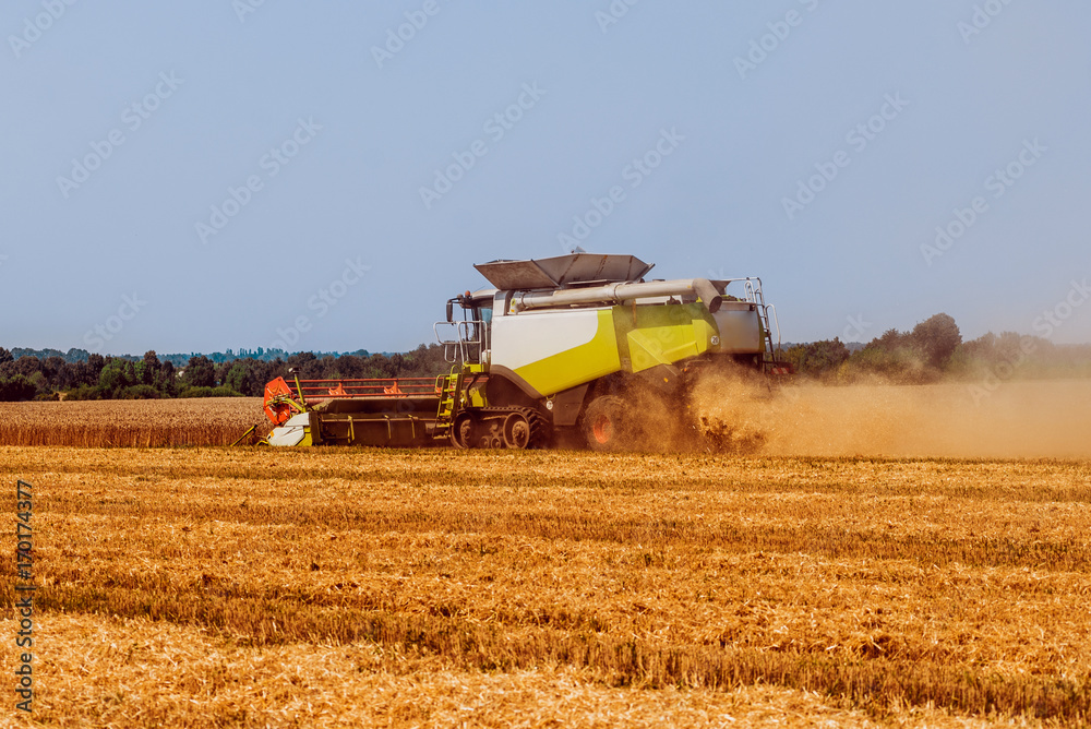 Combine harvester in action on wheat field. Process of gathering a ripe crop. Combine harvester in action on wheat field. Process of gathering a ripe crop.