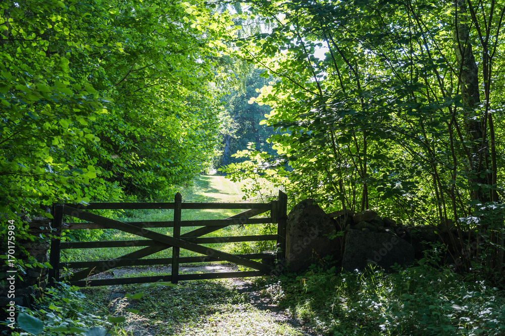 Old wooden gate in a lush greenery Old wooden gate in a lush greenery