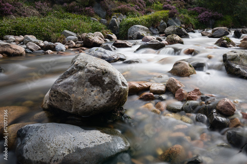 Rock in smooth water