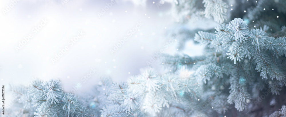 Fototapeta premium Winter tree holiday snow background. Beautiful Christmas border art design