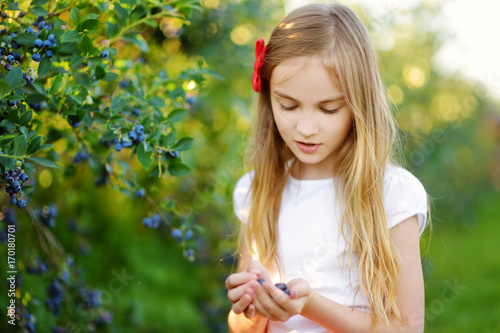 Cute little girl picking fresh berries on organic blueberry farm on warm and sunny summer day