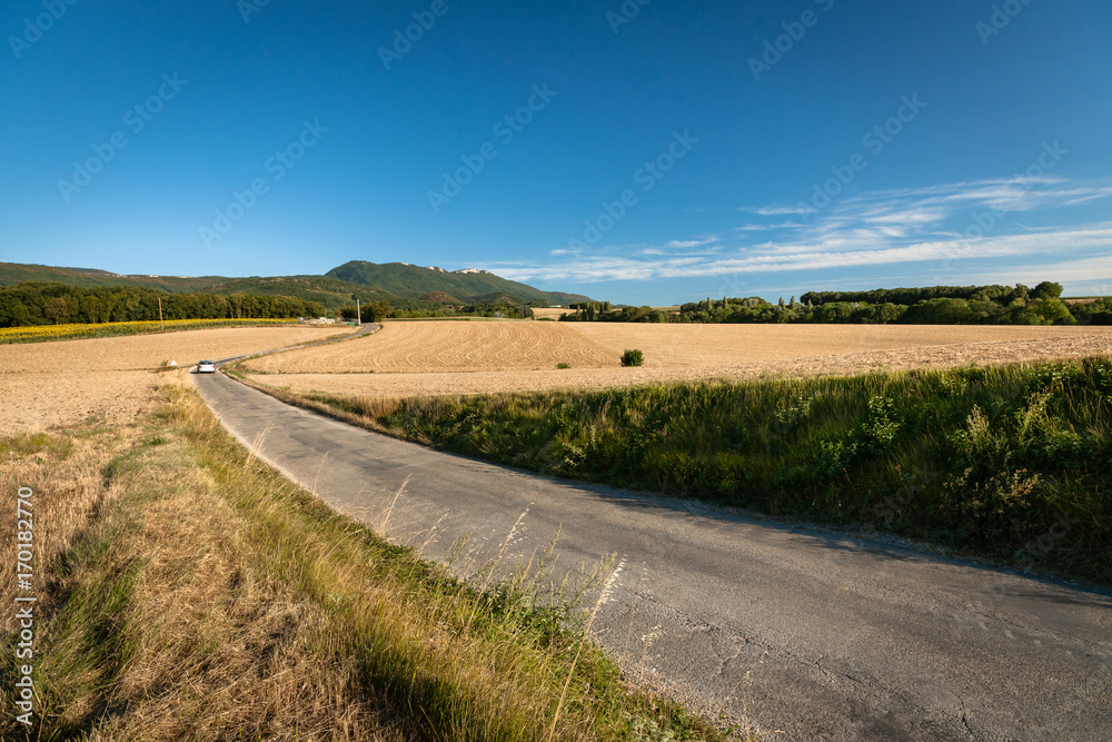 Typical French landscape in summer with grain fields