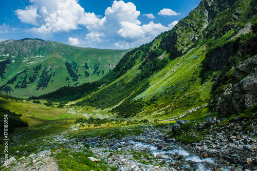The beautiful summer landscape in Arkhyz  Russia