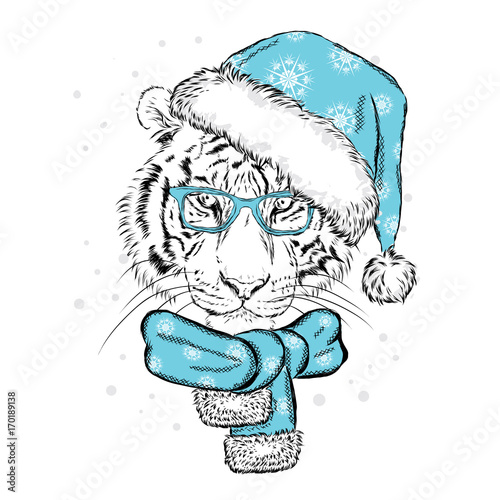 Fototapeta Naklejka Na Ścianę i Meble -  A beautiful tiger in a New Year's cap and scarf. Vector illustration for a postcard or a poster. Santa Claus. New Year and Christmas.