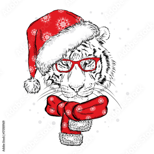 Fototapeta Naklejka Na Ścianę i Meble -  A beautiful tiger in a New Year's cap and scarf. Vector illustration for a postcard or a poster. Santa Claus. New Year and Christmas.