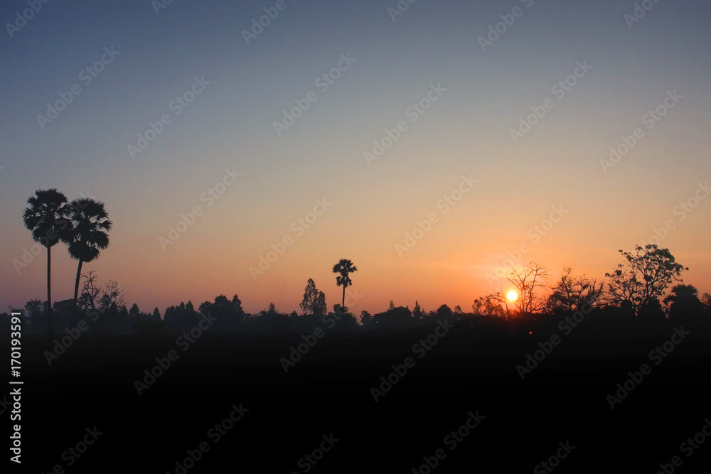 Sunset with plam tree thailand silhouette