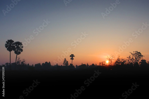 Sunset with plam tree thailand silhouette