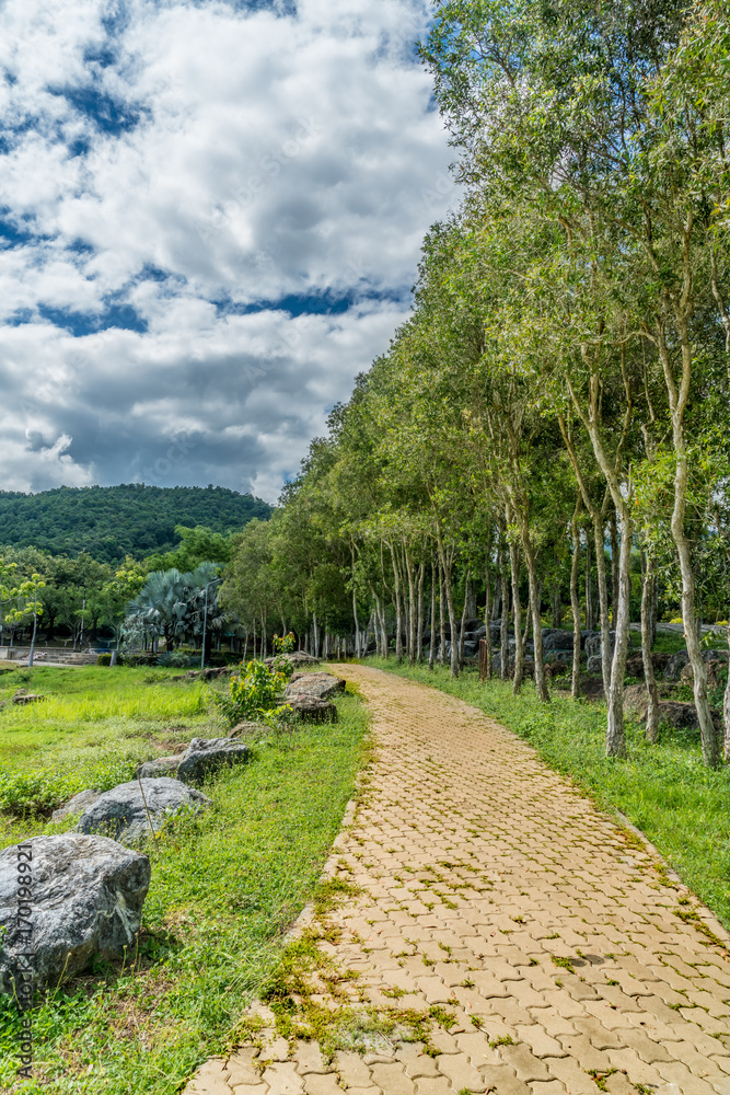 Concrete Pathway in garden