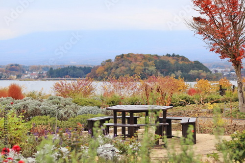 Beautiful view with autumn tree, lake, mountain, wooden benches and table at public park in Japan. Nature concept.