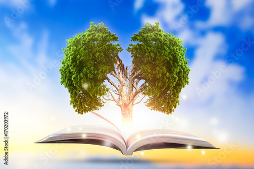 Conceptual with green tree of brain growing from book.