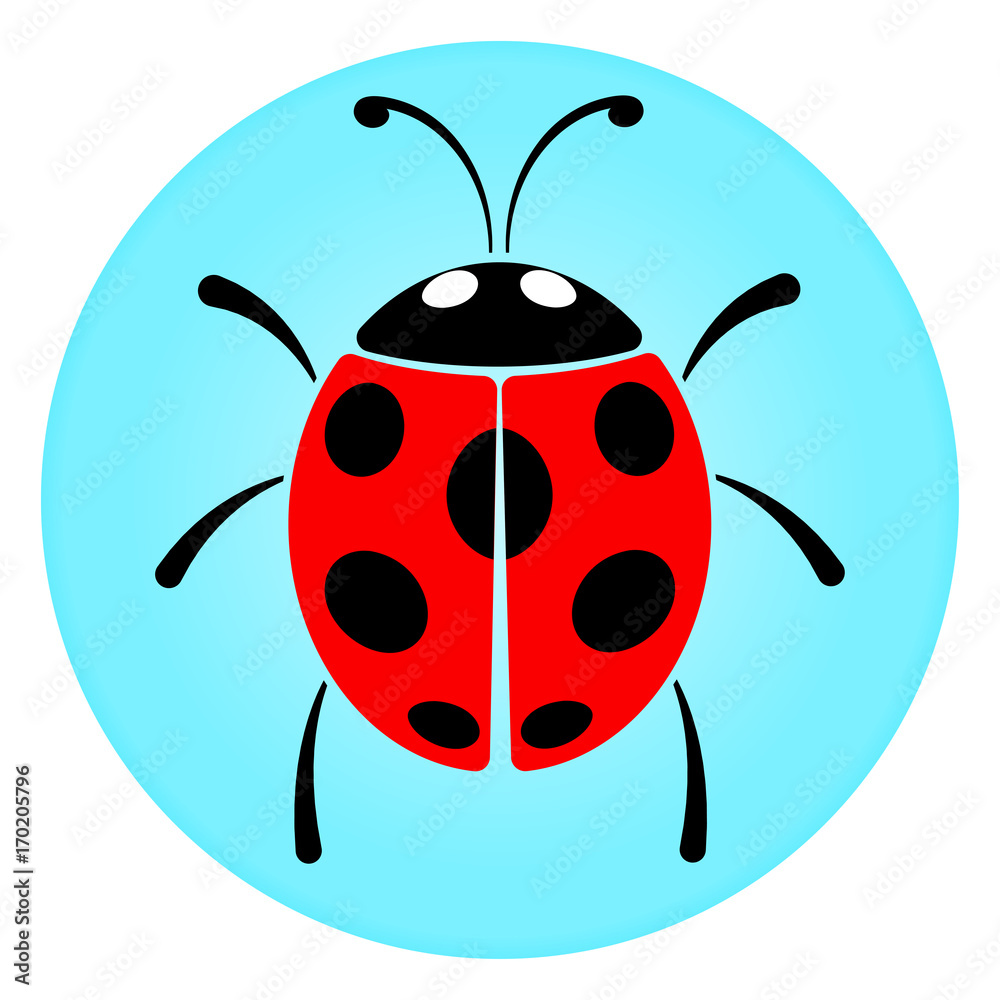 Obraz premium ladybug circle icon concept