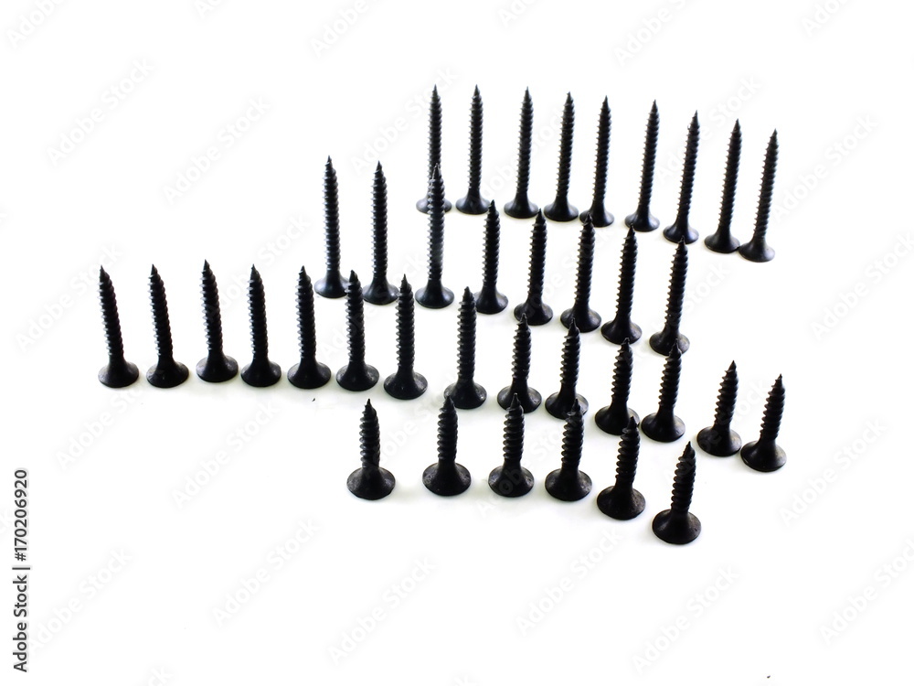 various screws on a white background various screws on a white background