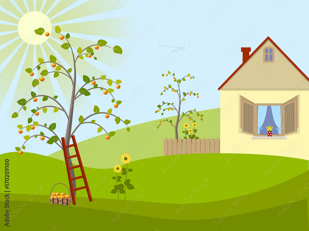 Fototapeta premium House with apple-tree