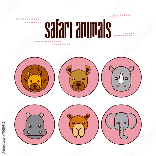 safari different kinds of wild animals vector illustration
