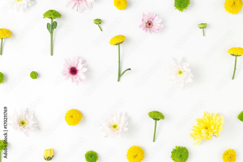 Floral pattern made of chrysanthemums on white background. Flat lay Floral pattern made of chrysanthemums on white background. Flat lay