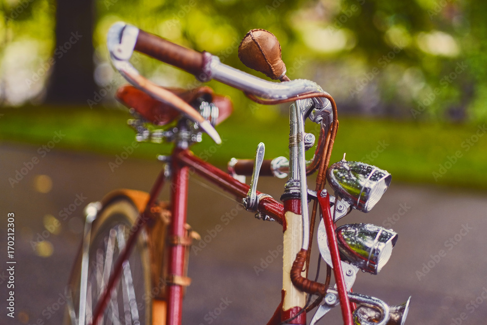 Obraz premium Retro bicycle in a park.