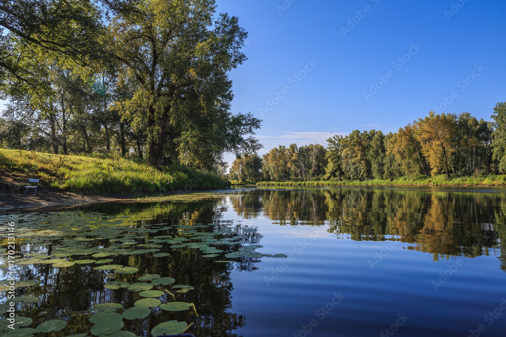 Fototapeta premium Summer landscape