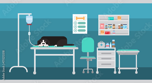 Dog In Vet Clinic Of Veterinary Assistance Medical Hospital Interior Flat Vector Illustration