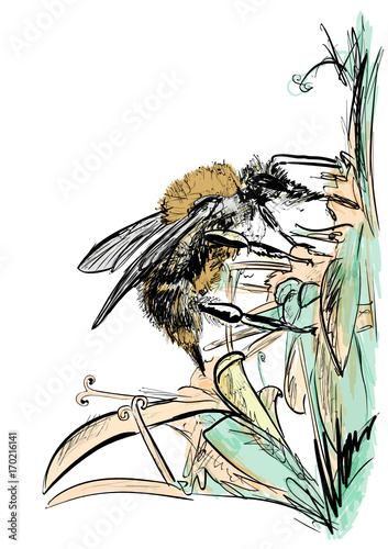 Bumblebee