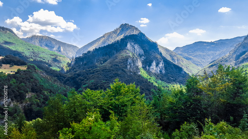 Beautiful canyon of the Tara river in Montenegro