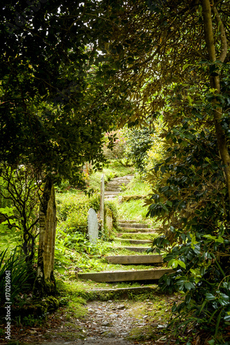 Old Church Yard, cemetary photo