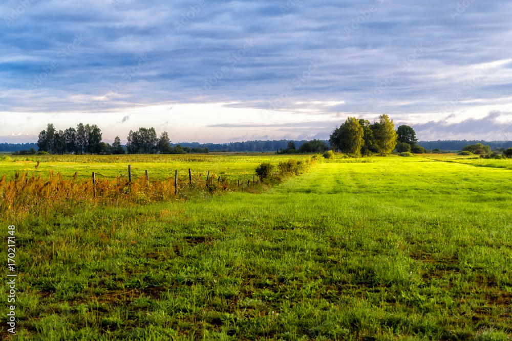 Fototapeta premium Poranek