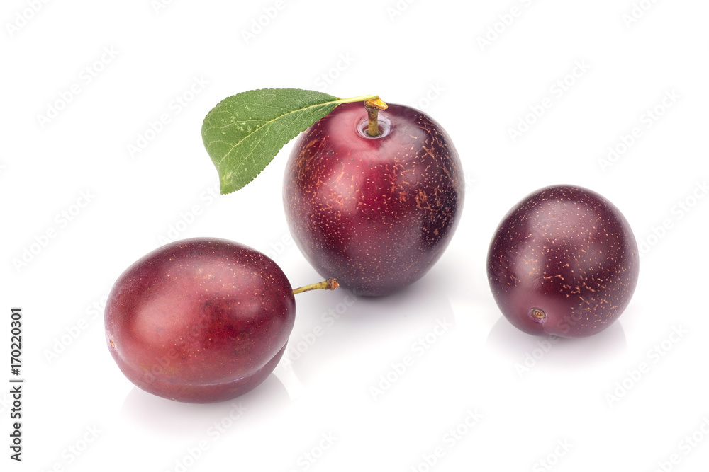 Fototapeta premium Plums