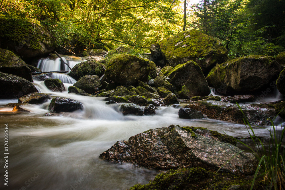 Wasserlauf im Pesenbachtal Wasserlauf im Pesenbachtal