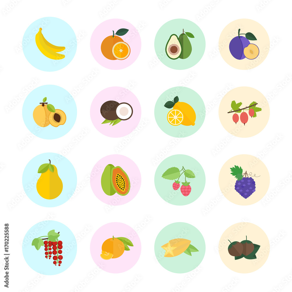 Set Vector Illustration of Berries and Fruits Set Vector Illustration of Berries and Fruits