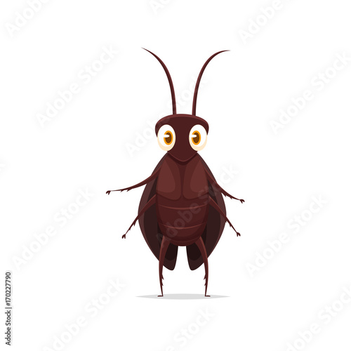 Cartoon cockroach vector isolated illustration