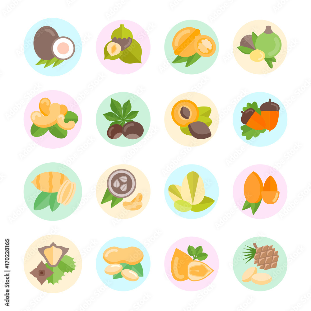 Set Vector Flat Icons of Nuts Set Vector Flat Icons of Nuts