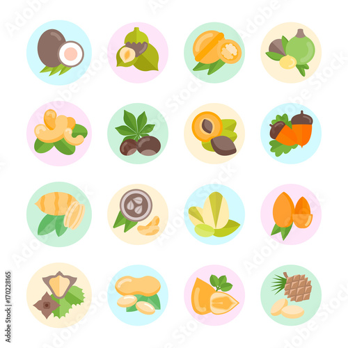 Set Vector Flat Icons of Nuts