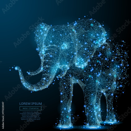 Elephant isolated from low poly wireframe on dark background. Vector polygonal image in the form of a starry sky or space, consisting of points, lines, and shapes in the form of stars and the universe